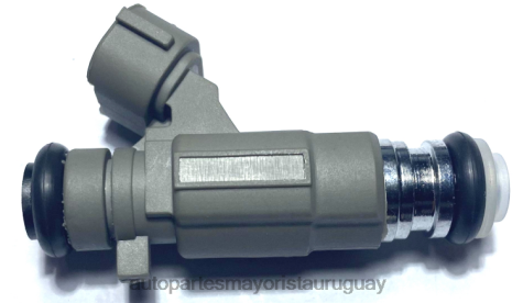 Repuestos De Auto La Plata | 2R64X1876 inyector de combustible 16600-5l700